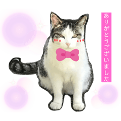 michiko_20200627175626