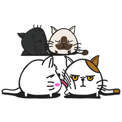 Onigiri cats -  Angry modo