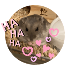 kurumi_20200627194136