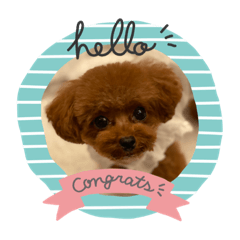 ayumi_20200627204813