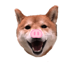 Cherry_20200627214621