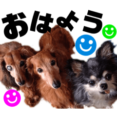 Kurumi_20200627222530