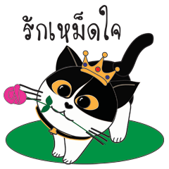 Southern-Thai Cat