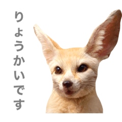 haruna_20200627200905