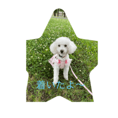 rina_20200627221038M