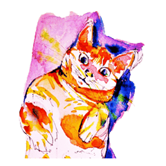 水彩動物スタンプ英語バージョン Line スタンプ Line Store 水彩動物スタンプ英語バージョン Line スタンプ Line Store