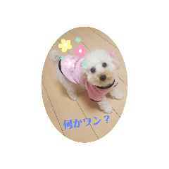 ken_20200627233634