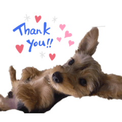 hikari_20200628085117