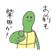 Turtle's name is Shibata