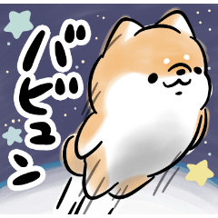 Shiba Inu Dog<Exaggeration>