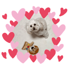 yurina_20200628131216