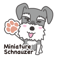 Lovely Dog "Miniature Schnauzer"