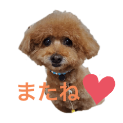 hana_20200628114818