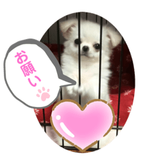 MINA_20200628080240