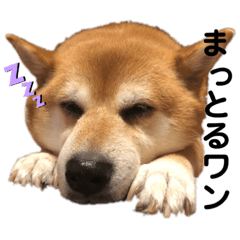 Mochi_20200628141810