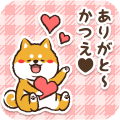 Pocha Shiba Katsue (Love)