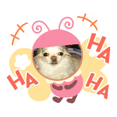 わんこちび＆チェリー8