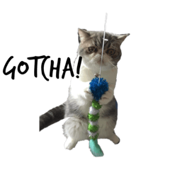 こてつちゃん。#3