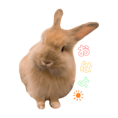 Mizuki_20200628145041