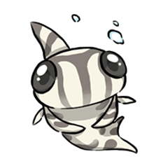 Pleco異形魚迷迷