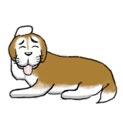 a gentle funny dog Taro