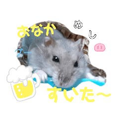 yukari_20200628133011