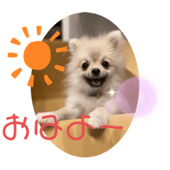 arisa_20200628163243