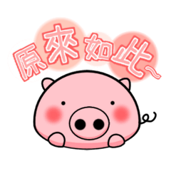 The cute and rounded pig