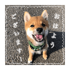 Nanami_20200628164007