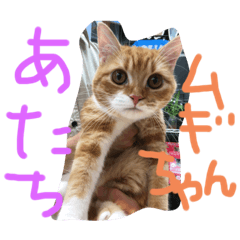 NATSUMI_20200628172652