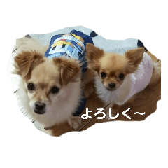 chie_20200628180619