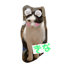 sayuri_20200628190152