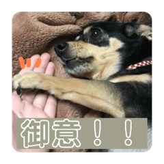riho_20200629013149