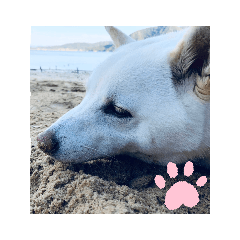 monmon_20200628195240