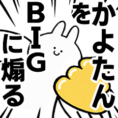 BIG Rabbits feeding [Kayo-tan]