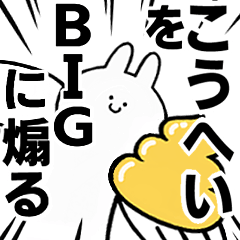 BIG Rabbits feeding [Kouhei]
