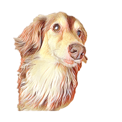 My dog is at home 2