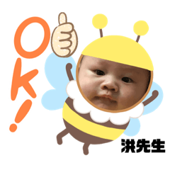 洪先生來了
