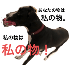 Rei_20200628225440