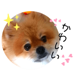 Cindy_myfriendslalala