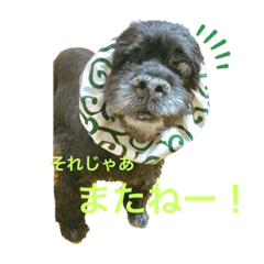 Rei_20200629004353