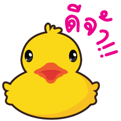 Yellow  Duck