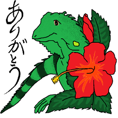 iguana3