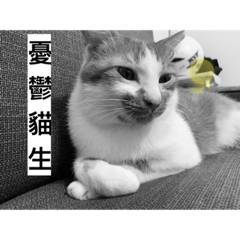 楽様デース