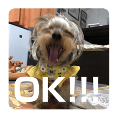 mochi_20200629184310