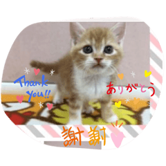 NATSUMI_20200629184521