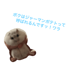 asuka_20200629195812