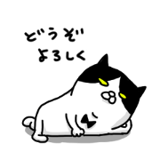 black cat and white cat with tie