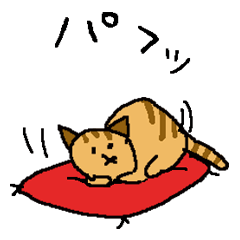 Japanese Orange Tabby Kitten