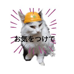 Sakamotocat